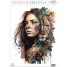 TRANSFER PREMIUM 04 20x27