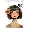 TRANSFER PREMIUM 71 20x27cm