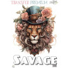 TRANSFER PREMIUM 25  20x27cm