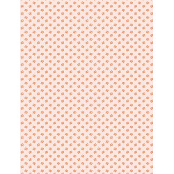 Pad 6"x8" A volar Travel Stories Mintopía