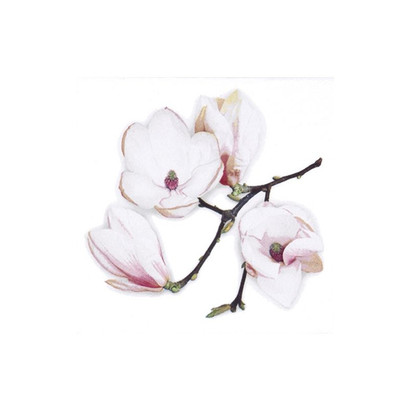Servilleta 33x33cm White Magnolia